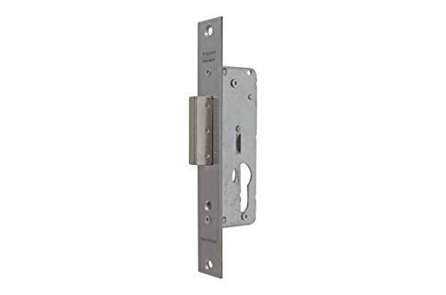 Tesa Assa Abloy 421120AI Cerradura Monopunto De Palanca Deslizante Para Perfiles Metálicos Inoxidable Entrada 20 mm 2211