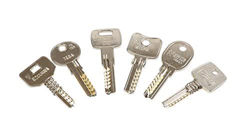 Kit de llaves bumping Bump-Keys para cerraduras de seguridad, multipuntos, planas, blindadas, Garantizadas Fabricante GanzuasBumping (Kit Nº2-15 llaves)
