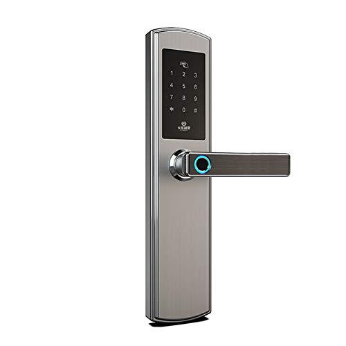 TASGK Cerradura de Puerta Elegante, Aleación de Zinc 6 en 1 App Móvil Bluetooth Abrir la Huella Digital Abertura de la Tarjeta IC Apertura de Llave de Apertura de Código de Tiempo,Gris,LR