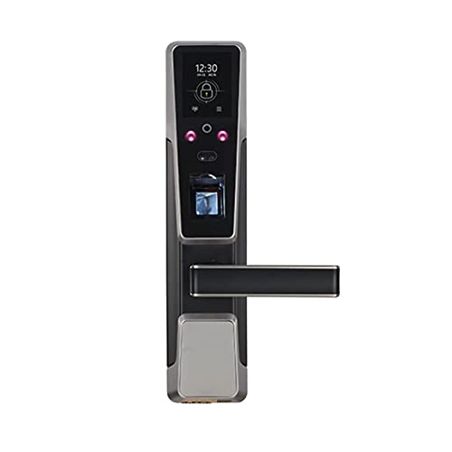 Huella digital biométrica y cerradura de puerta inteligente con cara compatible con lector de tarjetas RFID (Color : Silver)