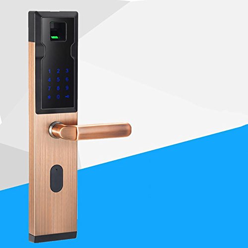 TDJDYQ Acero Inoxidable Biometría Bloqueo de Huella Digital Entrada sin Llave Huella Dactilar/contraseña/Tarjeta de proximidad/Llave mecánica Desbloqueado Cerradura de Seguridad para casa, Gold